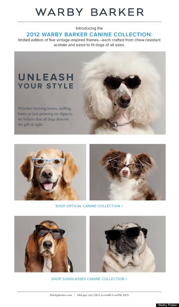 Warby Barker Canine Sunglasses April Fools